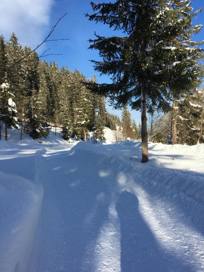 Appartements Fam. Gleinser Mirella Neustift im Stubaital Bagian luar foto