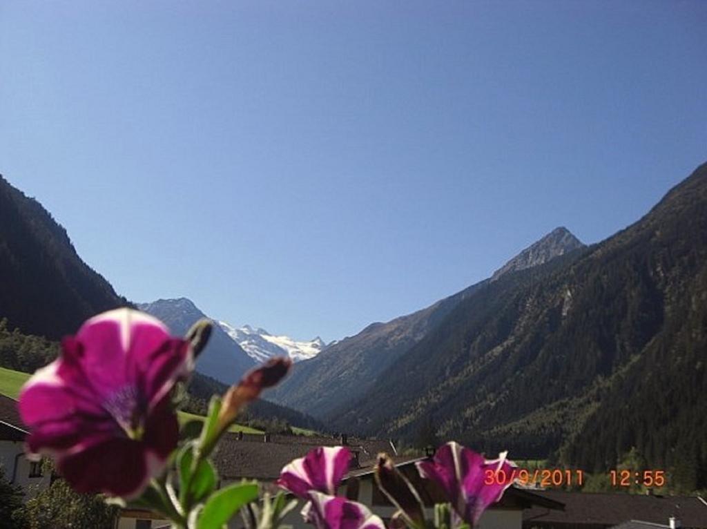 Appartements Fam. Gleinser Mirella Neustift im Stubaital Bagian luar foto