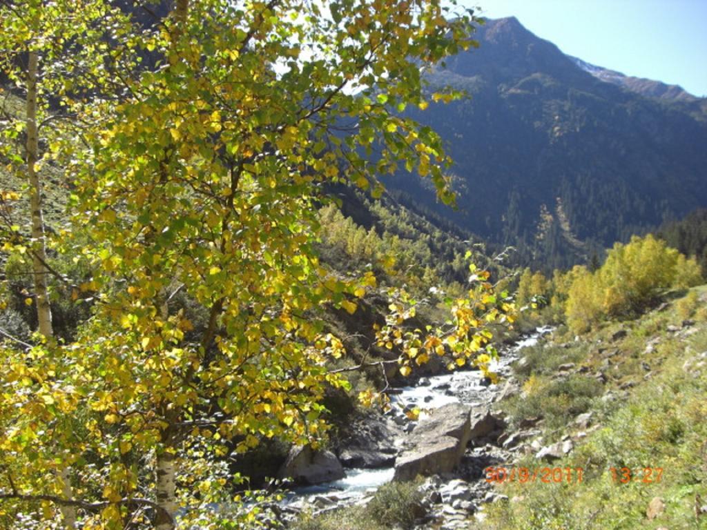 Appartements Fam. Gleinser Mirella Neustift im Stubaital Bagian luar foto