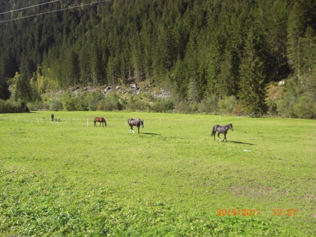 Appartements Fam. Gleinser Mirella Neustift im Stubaital Bagian luar foto